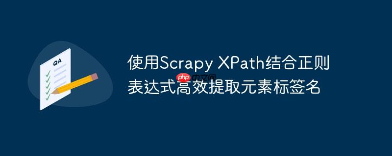 使用scrapy xpath结合正则表达式高效提取元素标签名