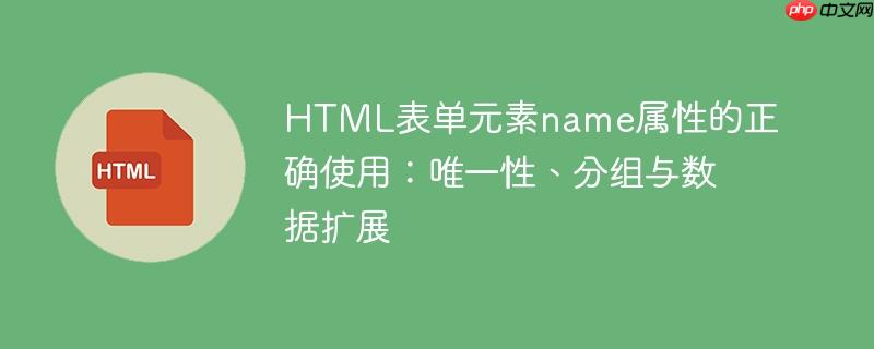 HTML表单元素name属性的正确使用：唯一性、分组与数据扩展
