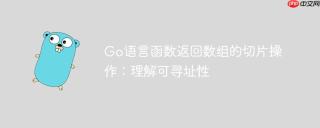 Go语言函数返回数组的切片操作：理解可寻址性
