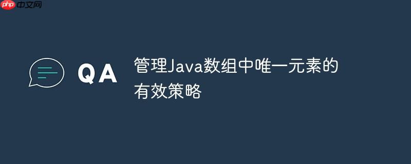 管理Java数组中唯一元素的有效策略-小浪学习网