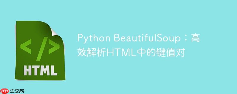 Python BeautifulSoup：高效解析HTML中的键值对