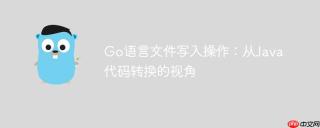 Go语言文件写入操作：从Java代码转换的视角
