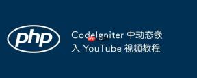 CodeIgniter 中动态嵌入 YouTube 视频教程
