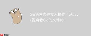 Go语言文件写入操作：从Java视角看Go的文件IO