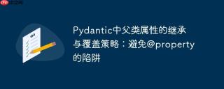 Pydantic中父类属性的继承与覆盖策略：避免@property的陷阱
