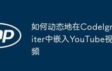 如何动态地在CodeIgniter中嵌入YouTube视频
