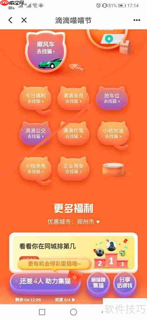 滴滴抢车位集猫攻略