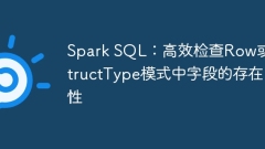 Spark SQL: Efficiently check the existence of fields in Row or StructType mode
