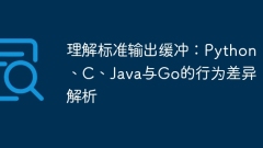 Understanding standard output buffering: Analysis of behavioral differences between Python, C, Java and Go
