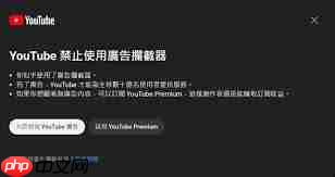 如何在YouTube中使用广告拦截器
