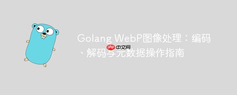 Golang WebP图像处理：编码、解码与元数据操作指南
