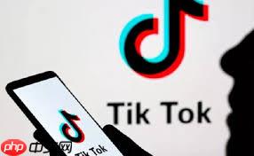 TikTok官网入口在哪