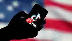 TikTok官网入口在哪