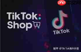 TikTok官网入口在哪