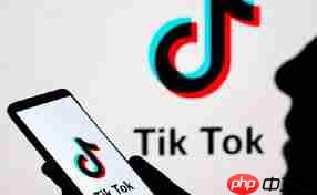 TikTok官网入口在哪