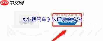 小鹏汽车app如何进行车主认证