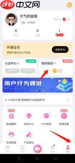 饭友如何进行提现