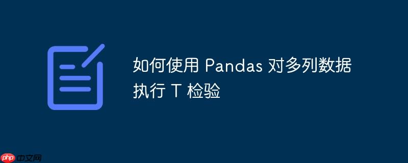 如何使用 Pandas 对多列数据执行 T 检验-小浪学习网