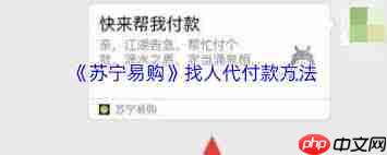 苏宁易购如何找人代付