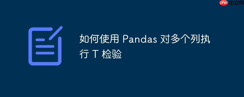 如何使用 Pandas 对多个列执行 T 检验-小浪学习网