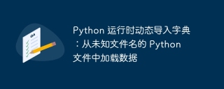 Python Runtime Dynamic Import Dictionary: Laden von Daten aus Python -Dateien mit unbekannten Dateinamen