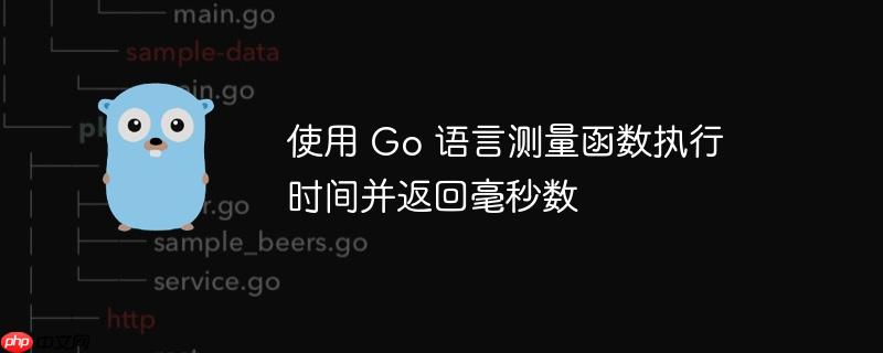 使用 go 语言测量函数执行时间并返回毫秒数