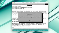 I Used MS-DOS Editor From 1992 for Writing, and It Didn't Go Well
