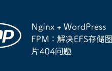 Nginx + WordPress FPM：解决EFS存储图片404问题