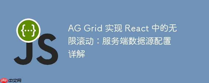 ag grid 实现 react 中的无限滚动:服务端数据源配置详解