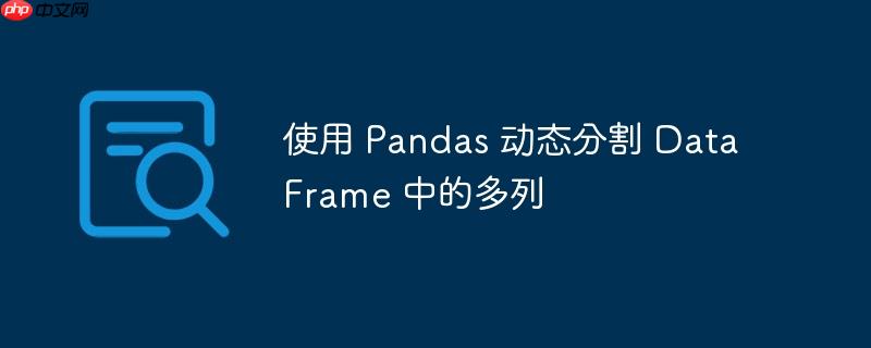 使用 Pandas 动态分割 DataFrame 中的多列-小浪学习网