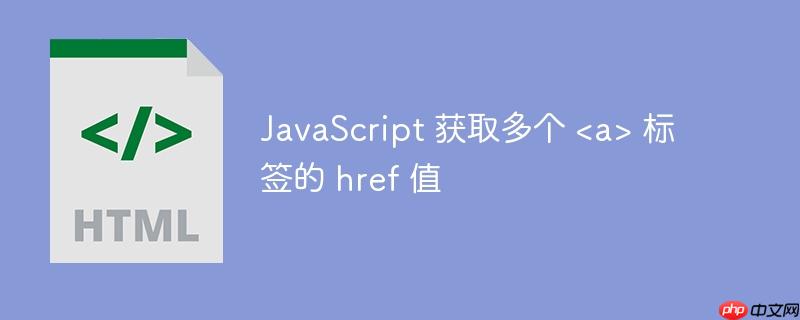 JavaScript 获取多个 <a> 标签的 href 值-小浪学习网