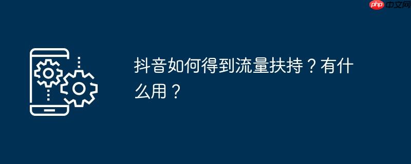 抖音如何得到流量扶持?有什么用?