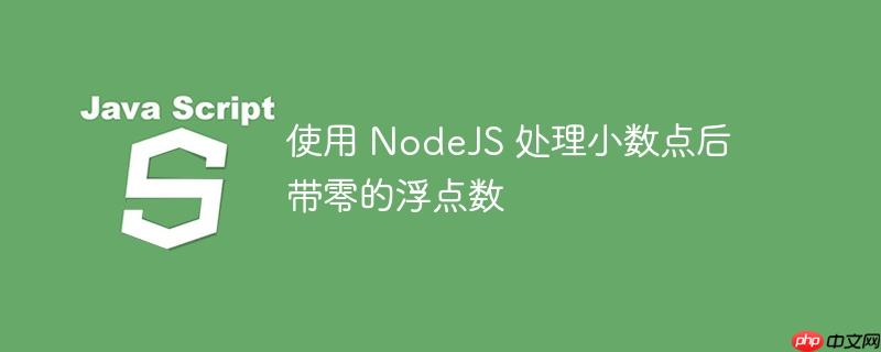 使用 nodejs 处理小数点后带零的浮点数