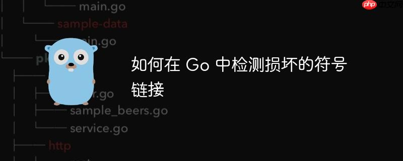 如何在 go 中检测损坏的符号链接