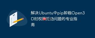 解决Ubuntu中pip卸载Open3D时权限拒绝问题的专业指南