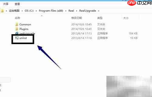 如何卸载RealPlayer
