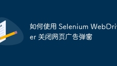 How to use Selenium WebDriver to close web ad pop-ups