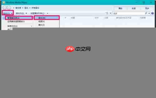 Win10媒体播放器使用指南