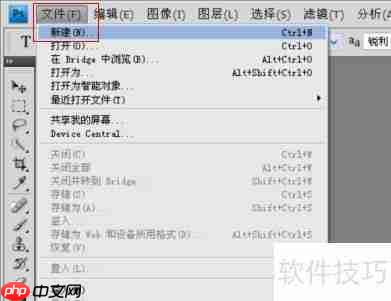 ps cs4文字加边框颜色教程