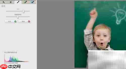 Picasa模糊背景突出主体