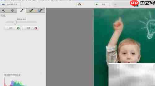 Picasa模糊背景突出主体