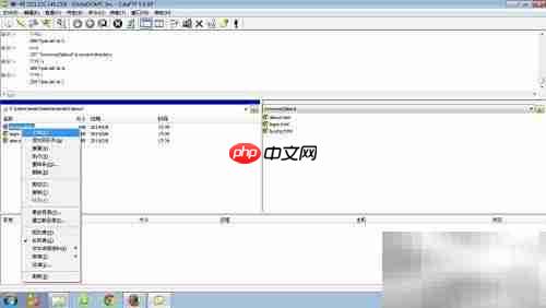 FTP文件快速上传下载技巧