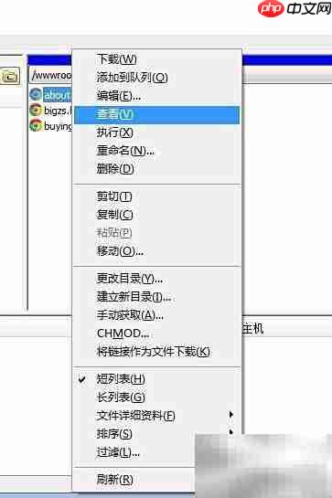 FTP文件快速上传下载技巧