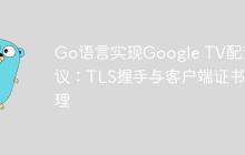 Go语言实现Google TV配对协议：TLS握手与客户端证书处理