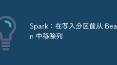 Spark: Remove columns from beans before writing to partition
