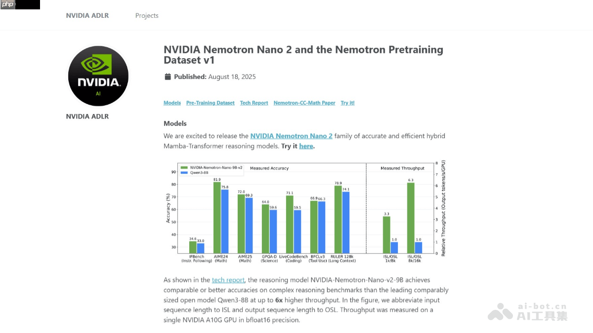 NVIDIA Nemotron Nano 2— 英伟达推出的高效推理模型