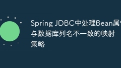 Mapping strategy in Spring JDBC that handles inconsistent Bean attributes and database column names