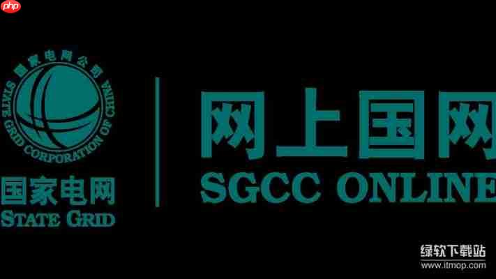 如何高效访问i国网pc端官网进行电费查询缴费