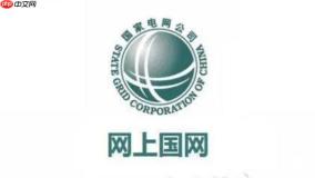 如何高效访问i国网pc端官网进行电费查询缴费