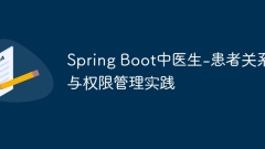 Doctors in Spring Boot-Patient Relationship and Permission Management Practice